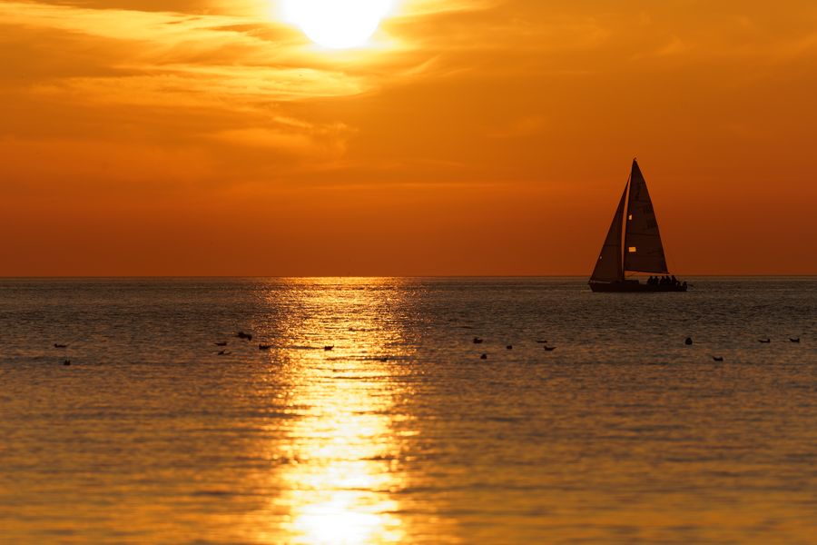 des exemples de photographies pouvant orner bientôt les murs de vos locaux