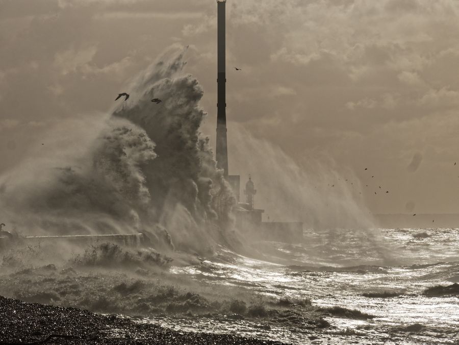 des exemples de photographies pouvant orner bientôt les murs de vos locaux